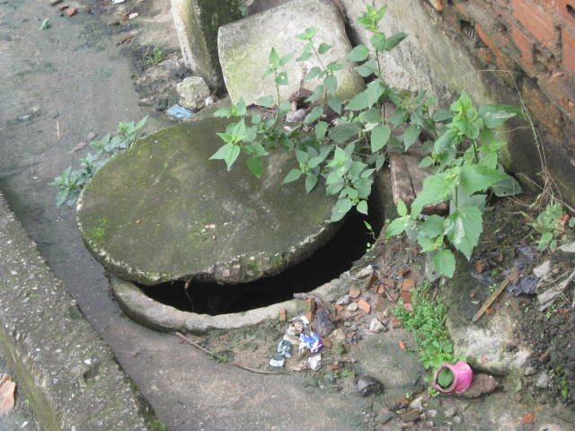 Segundo dados do Ministério da Saúde, 75% dos criadouros do mosquito ficam em imóveis residenciais, o que dá a dimensão da importância do controle dos focos  nesses locais.
