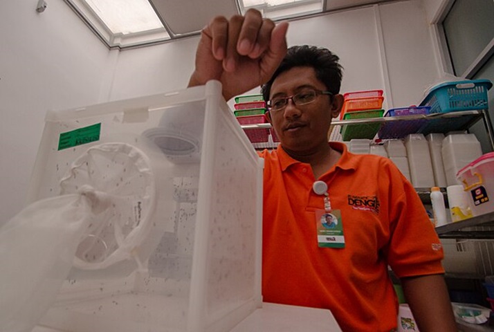 O controle da dengue no Brasil também conta com uma tecnologia chamada “método Wolbachia”. Ele consiste na liberação de mosquitos Aedes aegypti infectados com a bactéria Wolbachia. Ao se reproduzirem com os insetos locais, é formada uma nova população com essa bactéria, que impede o desenvolvimento dos vírus da dengue, zika e chikungunya e reduz a transmissão dessas doenças. 
