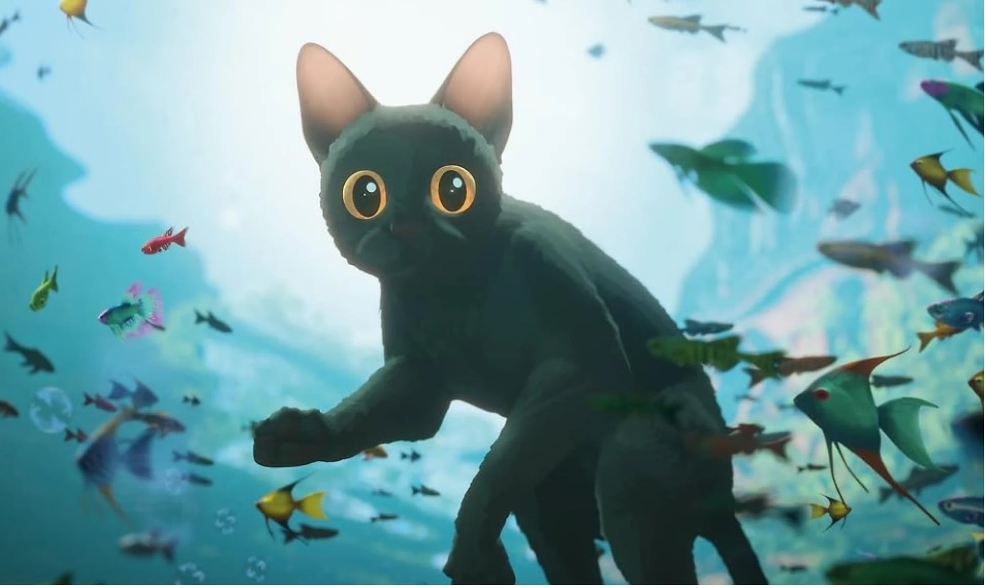 "Flow" &eacute; um dos indicados a Melhor Filme Internacional no Oscar 2025