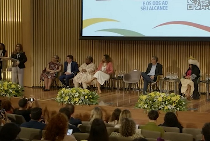 No dia 14/11/2024, quando Janja perguntou quem esteve no lançamento da Plataforma de Igualdade Étnico Racial na conferência, uma mulher gritou Janjapalooza, provocando risadas de algumas pessoas que lá estavam.