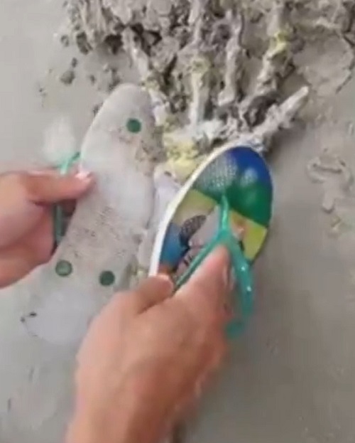  Bem cedo, eu e meu namorado andávamos pela praia, quando encontramos essa ‘espécie de mão’, afirmou Letícia em uma de suas contas em redes sociais.