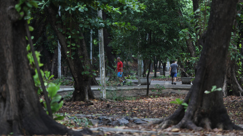 Quinta edição do projeto "Tá Meio Musical Esse Ambiente" terá show de Rayane Fortes e atividades ecológicas neste domingo, 11, às 15 horas, no Parque Rio Branco (imagem), em Fortaleza, de acesso gratuito