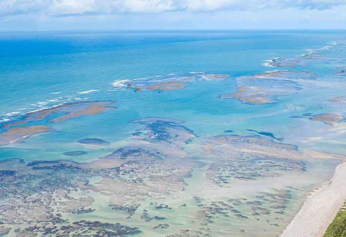 Com 130 km de extensão, essa área abriga milhares de espécies marinhas, mas sofre com o aquecimento das águas, a poluição e o turismo fora de controle.