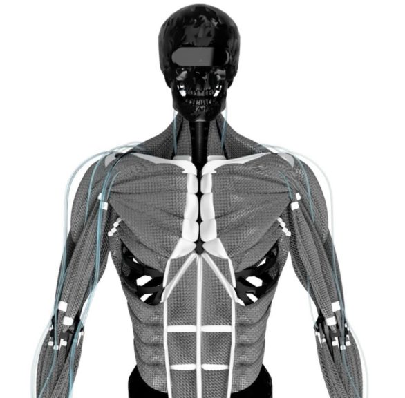 A startup se destaca pelo hiper-realismo de seus robôs, que se assemelham bastante aos humanos. Esse setor é chamado de robótica biomimética.