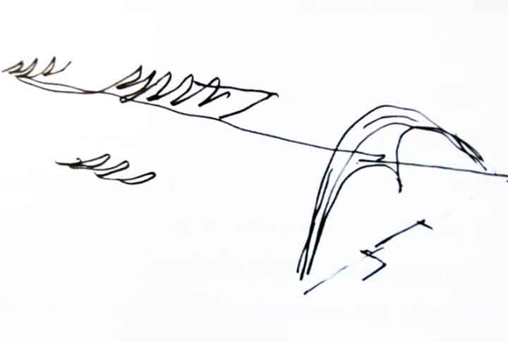 Posteriormente, seu nome oficial mudou para Passarela do Samba e, finalmente, a partir de 18 de fevereiro de 1987, passou a ser Passarela Professor Darcy Ribeiro, Foi uma forma de homenagem ao principal mentor da obra, o antropólogo Darcy Ribeiro. 