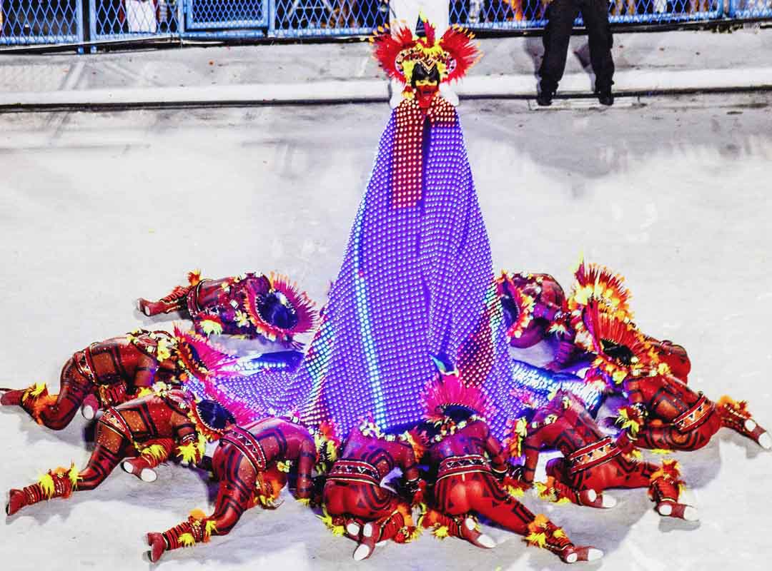 O símbolo do Salgueiro é formado por um círculo vermelho, onde ficam dispostos os símbolos - o pandeiro, o surdo de barrica, o tamborim quadrado, o afoxé de cabaça com fitas e uma baqueta.