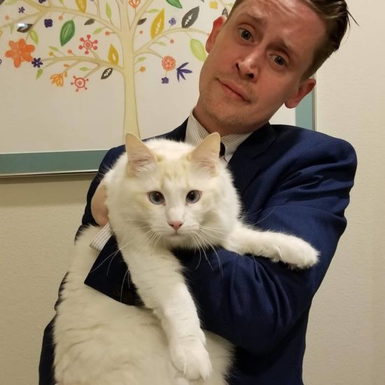 Em várias entrevistas, Macaulay Culkin já acusou seu pai de ser um abusador, alegando que enfrentou abusos físicos e verbais durante a infância.