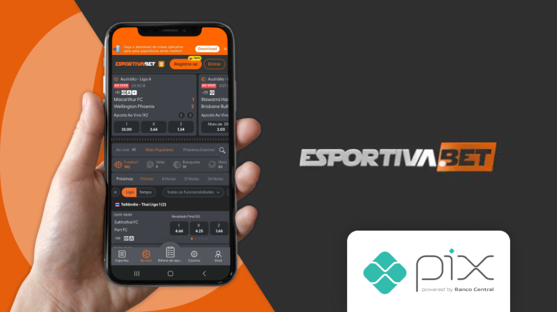 Guia Pix na Esportiva Bet