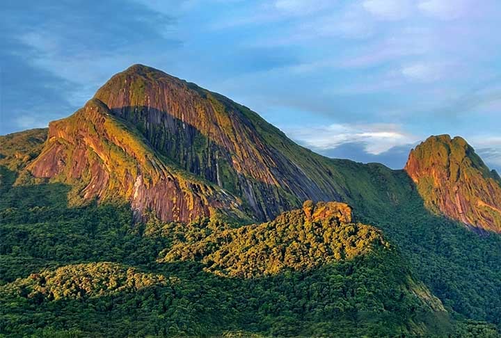 Os pesquisadores passaram 12 dias acampados no topo de uma montanha vizinha ao Pico do Imeri, a quase 1.900 metros de altitude. Eles coletaram a maior diversidade possível de plantas e animais em uma das regiões mais preservadas e menos conhecidas da Amazônia. 