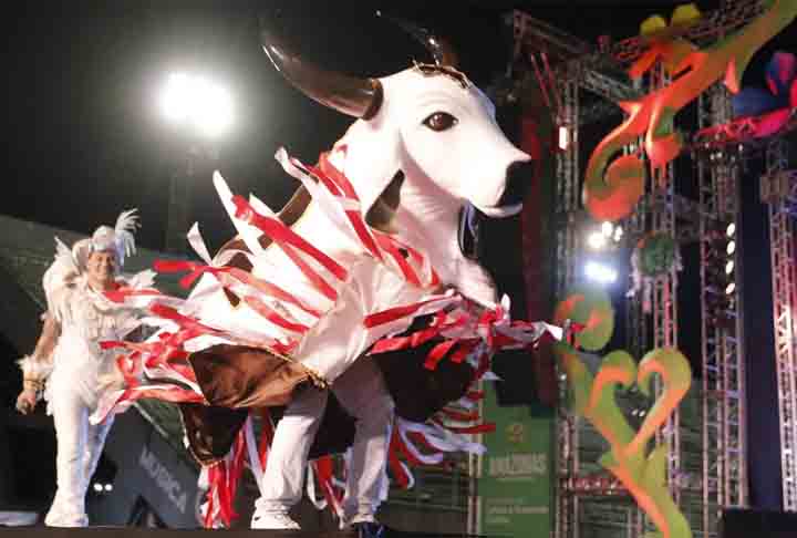 Outro festejo tradicional do carnaval de Manaus é o Carnaboi, que também tem lugar normalmente no sambódromo da cidade.