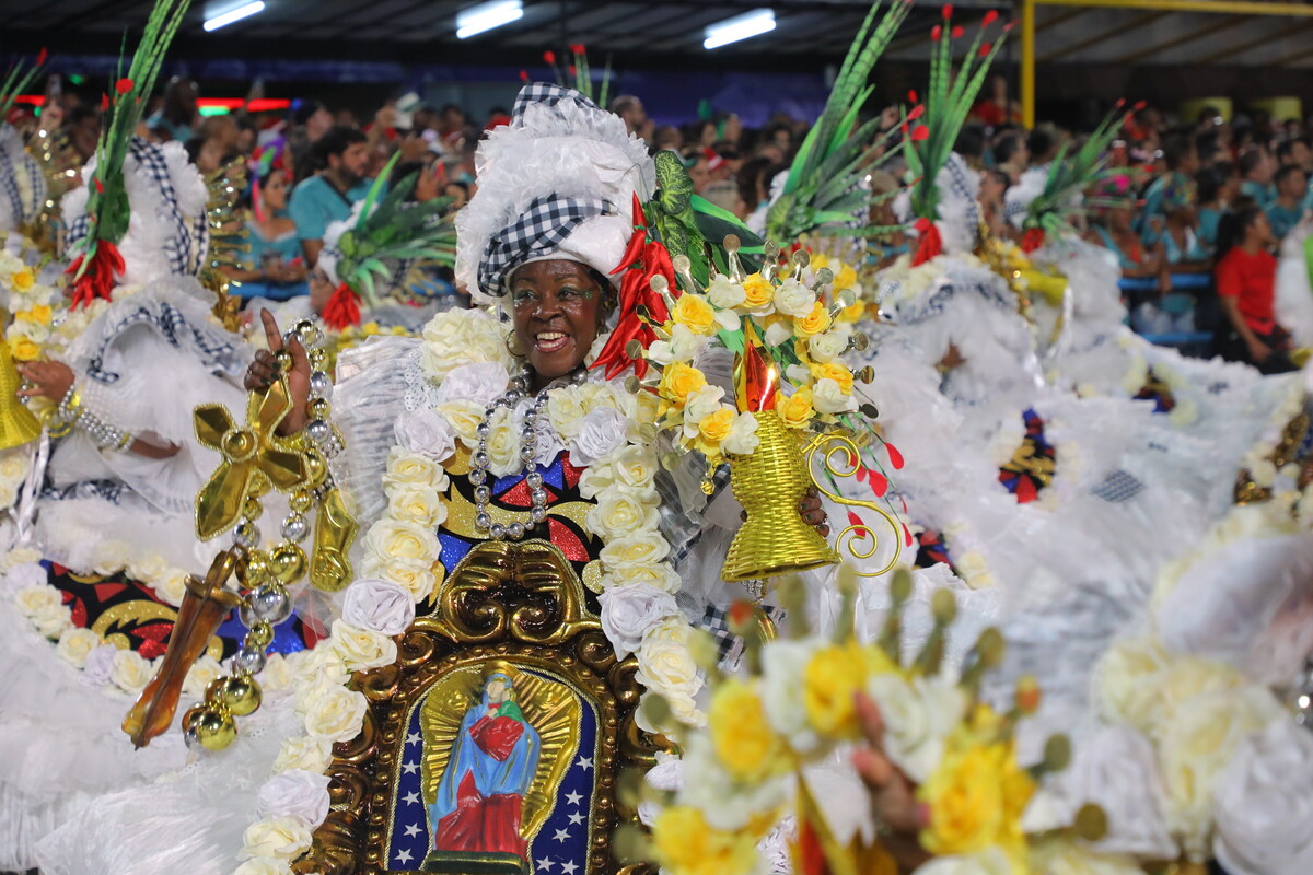 O quesito Fantasia julga a adequação das vestimentas dos componentes ao tema proposto em cada ala. O jurado analisa, também, a uniformidade dos detalhes entre os componentes e, assim como as alegorias, se estão de acordo com o enredo, de forma coerente.