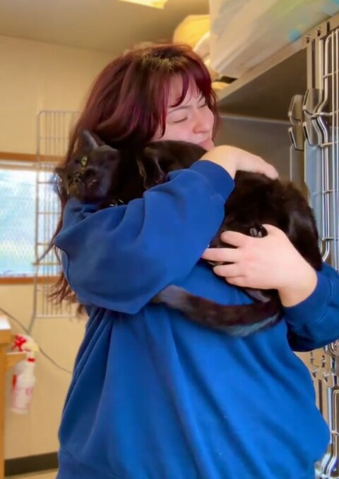 Ravi, de oito anos, ficou conhecido depois que um abrigo de animais dos Estados Unidos divulgou fotos e vídeos do felino no TikTok. As publicações viralizaram, com quase 14 milhões de visualizações, e diversas pessoas expressando o desejo de adotar o gato.
