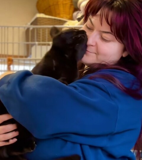 O volume de candidaturas foi tamanho que o abrigo precisou pedir um tempo para avaliar cuidadosamente os perfis apresentados. Após a escolha, Ravi já está com sua nova dona, que fez uma postagem relatando as primeiras horas de convivência com o gato na morada. 
