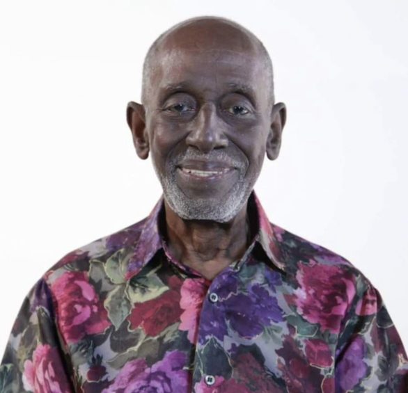 No cinema, o artista foi tema do documentário Nelson Sargento da Mangueira (1998) e fez pequenas participações nos filmes O Primeiro Dia (1998) e Orfeu (1999).