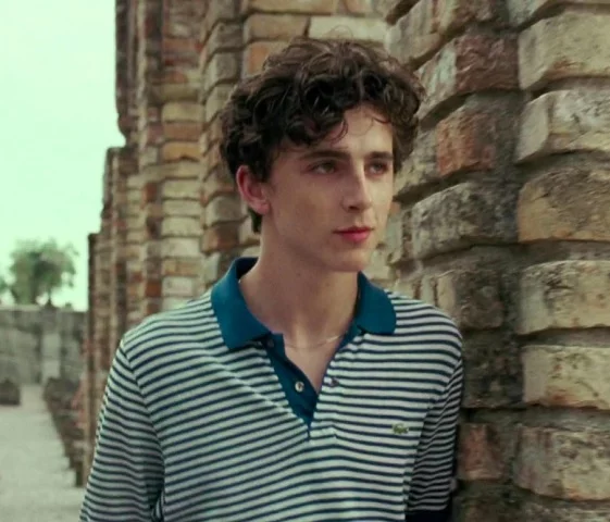 Me Chame Pelo Seu Nome - Produção franco-ítalo-americano-brasileira foi indicada a quatro categorias e venceu o Oscar de 2018 de Melhor Roteiro Adaptado para James Ivory. O filme tem no elenco o festejado ator Timothée Chalamet. 

