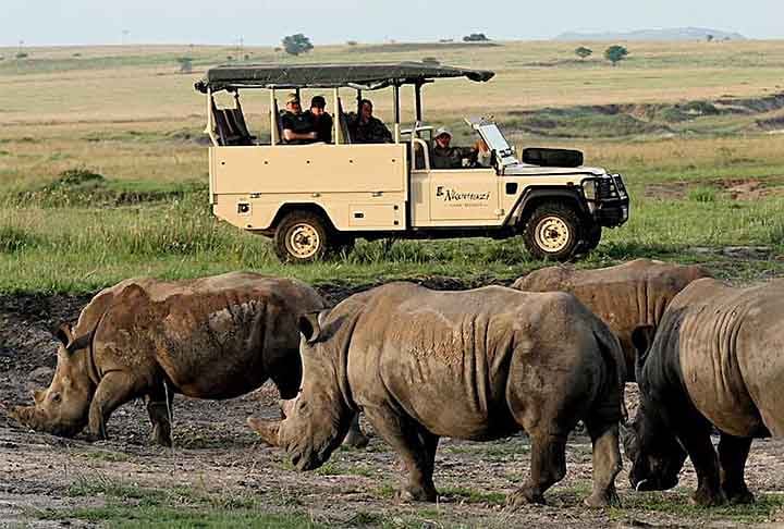 A África é um continente vasto e diversificado, repleto de culturas fascinantes, paisagens deslumbrantes e uma história rica. De safáris nas savanas a praias paradisíacas, o continente oferece experiências únicas para quem busca aventuras e novas descobertas.