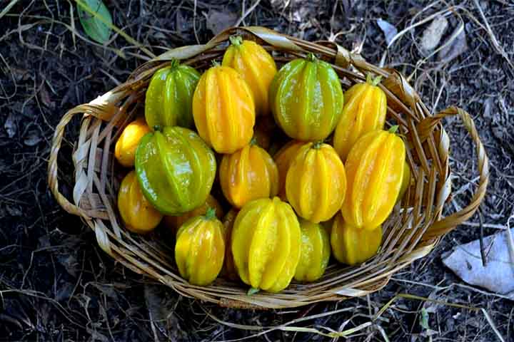 A fruta tem um formato alongado, parecido com uma pequena estrela de oito pontas, e sua cor varia do amarelo ao laranja quando está madura. Pode ser consumida in natura, mas é mais utilizada em sucos, geleias e outras preparações culinárias devido ao seu sabor intenso.