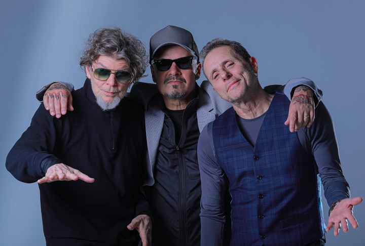 Atualmente, a formação conta com o trio fixo Branco Mello, Sérgio Britto e Tony Bellotto.