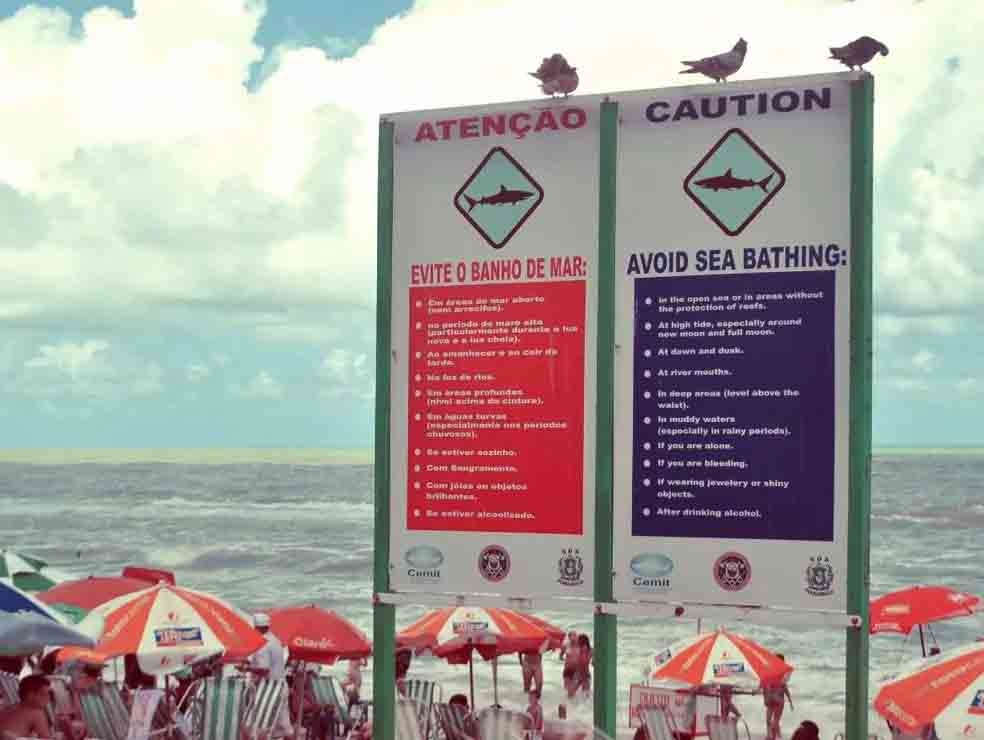 Mas os ataques de tubarão não são eventos tão distantes como alguns podem pensar. No Brasil, Recife é uma região que tem sido frequentemente associada a esses incidentes devido a alguns fatores específicos.