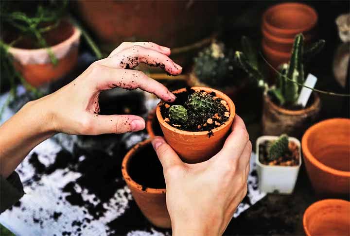 Para evitar aranhas em casa siga algumas instruções: usar aspirador de pó atrás de móveis e quadros; remover folhas secas e cortar a vegetação nos terrenos; usar difusor com cheiro de menta;  manter a casa sempre sem alimento exposto; usar inseticidas específicos para aranhas, se for o caso. 