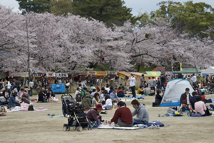 Japão - O Hanami celebra as cerejeiras com piqueniques e festivais. O Obon homenageia ancestrais com lanternas e danças. O Gion Matsuri, em Kyoto, traz desfiles históricos e eventos culturais.