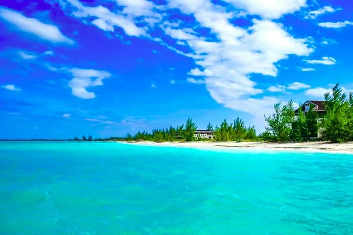 As autoridades locais alegaram que a mulher tentou se aproximar do tubarão para tirar fotos, mas a família negou, afirmando que o animal a atacou sem qualquer provocação.