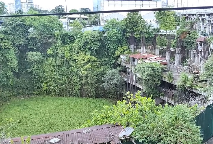 Hoje coberto por musgos, o arranha-céu teve um custo estimado de US$ 85 milhões (aproximadamente R$ 485,35 milhões).