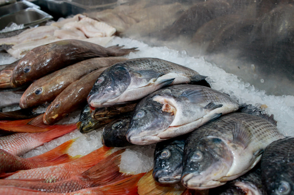 FORTALEZA, CEARÁ, BRASIL, 06-03-2025: Movimentação e preços dos principais pescados do Mercado dos peixes antes da Semana Santa. (Foto: Samuel Setubal/ O Povo)