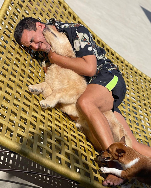 Apesar de ser energético, o Golden Retriever adora momentos de descanso com seus donos. Ele costuma ser calmo em casa, buscando companhia e carinho. Sua natureza afetuosa o torna um excelente cão de companhia para famílias e pessoas sozinhas.