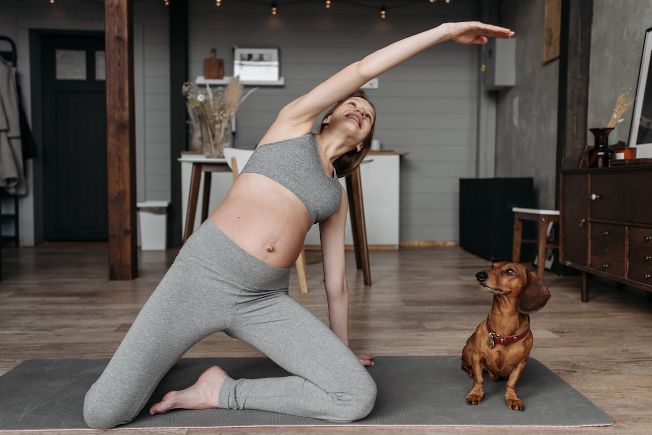 Embora seja inteligente, ele pode ser um pouco teimoso e independente. O treinamento deve ser consistente e positivo, com paciência, pois ele pode ignorar comandos se não estiver motivado. Socializá-lo desde cedo ajuda a garantir que se comporte bem com outros cães e pessoas.