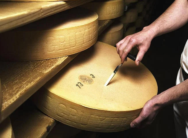 O Gruyère é conhecido por seu longo processo de envelhecimento, que confere um sabor encorpado e levemente adocicado.