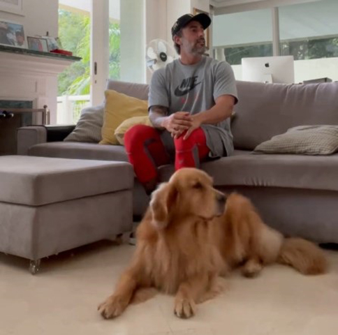 A raça se adapta bem a diversos ambientes, desde apartamentos até casas com grandes quintais. Embora adore um espaço amplo para correr, também é feliz com passeios regulares. A interação social e atividades ao ar livre são essenciais para seu bem-estar.