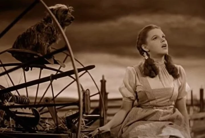 Quando eu era adolescente, eu queria muito que um tornado me arrastasse e me levasse bem longe da vida que eu tinha. Essa declaração de Johnny Depp explica por que ele adora O Mágico de Oz. 