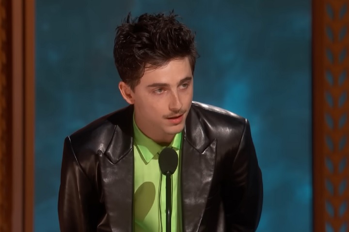 Sou inspirado por Daniel Day-Lewis, Marlon Brando e Viola Davis, assim como por Michael Jordan e Michael Phelps, e eu quero chegar onde eles estão, admitiu Chalamet.