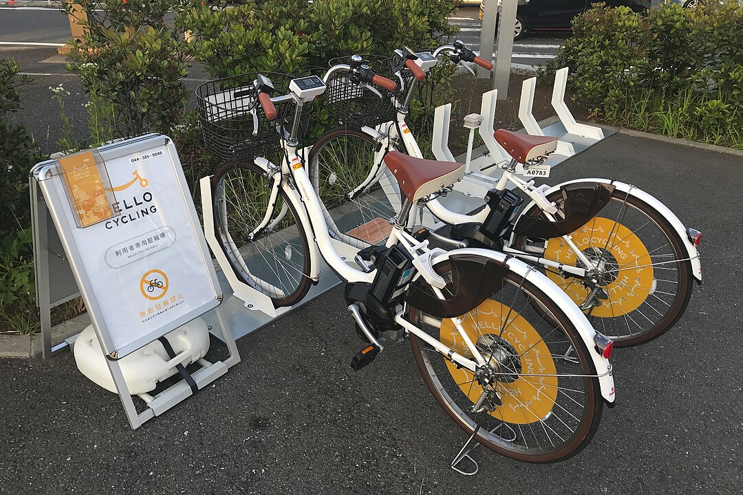 No entanto, apenas um século depois, nos anos 1990, as bicicletas elétricas passaram a se popularizar, graças ao desenvolvimento de baterias mais potentes. Em países da Europa e da Ásia o uso já é bem mais comum que no Brasil. 
