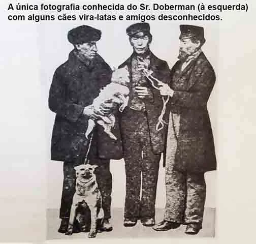 Originário da Alemanha, o Doberman foi criado por Karl Friedrich Louis Dobermann para ser um cão de guarda eficiente e corajoso. A combinação de várias raças deu origem a um cão ágil, protetor e fiel. Seu instinto de proteção e lealdade são características marcantes dessa raça.

