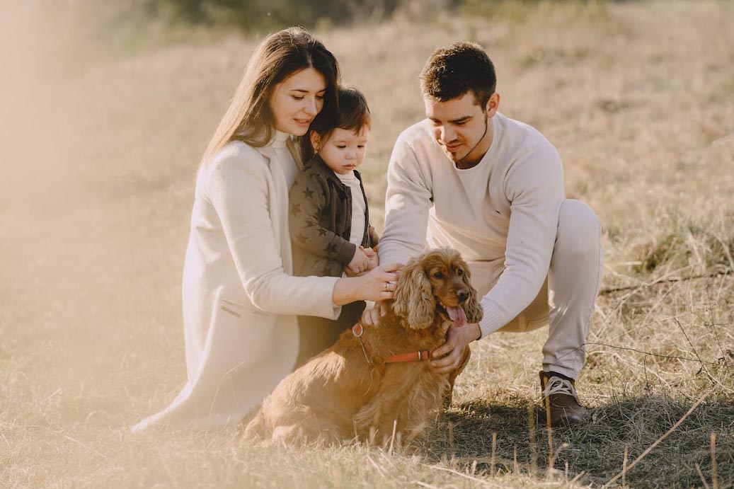 Demonstra um comportamento carinhoso e sociável, sendo excelente para crianças. Seu temperamento amigável faz com que interaja bem com outros animais. Contudo, pode ser sensível a mudanças bruscas no ambiente.