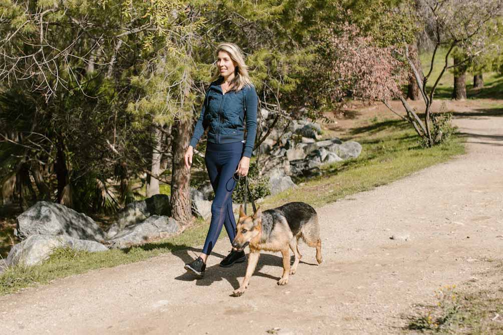 O adestramento é essencial para essa raça. Devido à sua inteligência, aprende comandos com facilidade. O reforço positivo é o método mais indicado para ensinar bons hábitos.