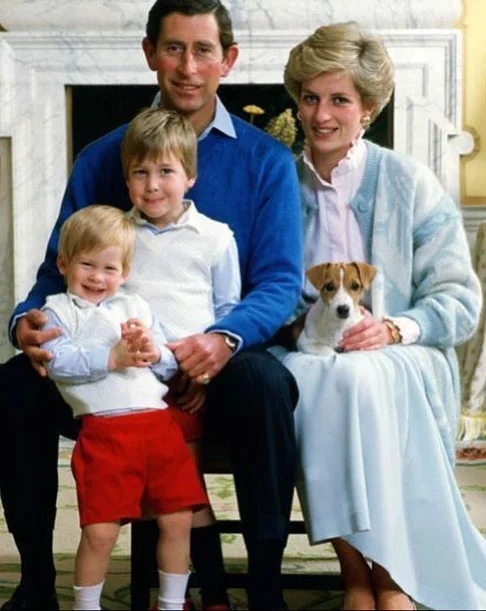 Quando virou princesa, atraiu os olhos do mundo para o Palácio de Buckingham. Diana e Charles tiveram dois filhos: os  príncipes William e Harry. Eles tinham, respectivamente, 15 e 12 anos quando a mãe morreu. 