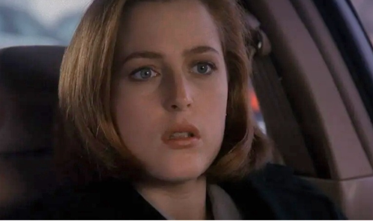 Gillian Leigh Anderson nasceu em Chicago, no dia 9 de agosto de 1968, sendo eleita, em 1997, pela revista People como uma das 50 Pessoas Mais Bonitas do Mundo. A atriz tem três filhos: Oscar, Felix Griffiths e Clyde Klotz e mora em Londres, atualmente.