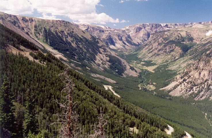 Segundo Greg Pederson, paleoclimatologista do Northern Rocky Mountain Science Center do US Geological Survey e principal autor do artigo, embora a temperatura seja o principal fator que determina a elevação da linha de árvores, variáveis como umidade, vento, neve e impacto humano também influenciam.