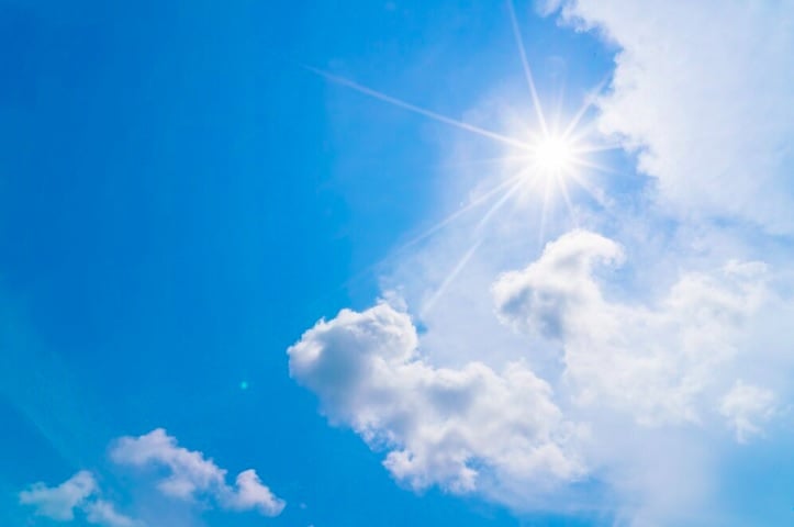 De acordo com os cientistas, o principal motivo para o desaparecimento da floresta foi uma redução na radiação solar durante os verões, há cerca de 5.500 anos.

