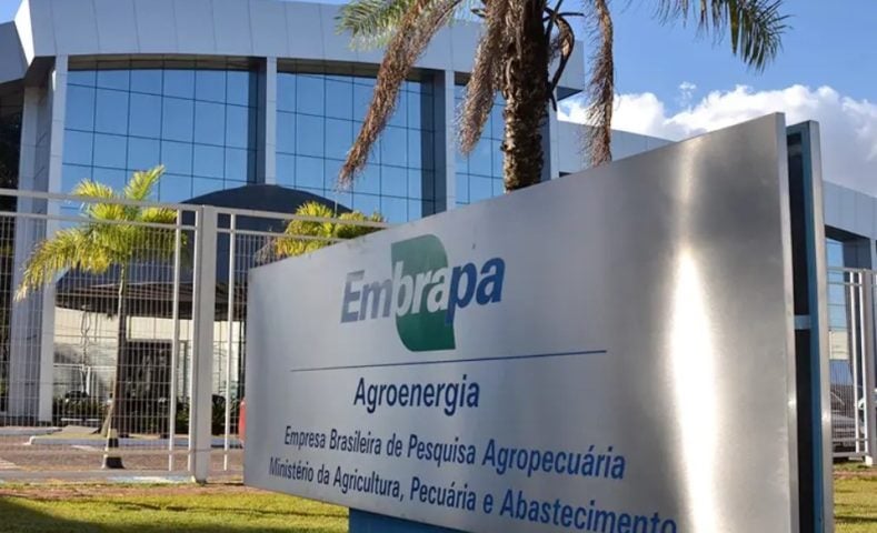 A Embrapa (Empresa Brasileira de Pesquisa Agropecuária) fez um mapeamento de regiões do Brasil que estão sob risco de ser afetadas por novas pragas na agricultura
