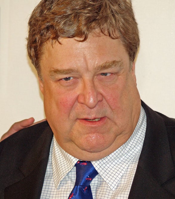 John Goodman é um renomado ator norte-americano, de 72 anos, nascido em 20 de junho de 1952, em Affton, Missouri. 