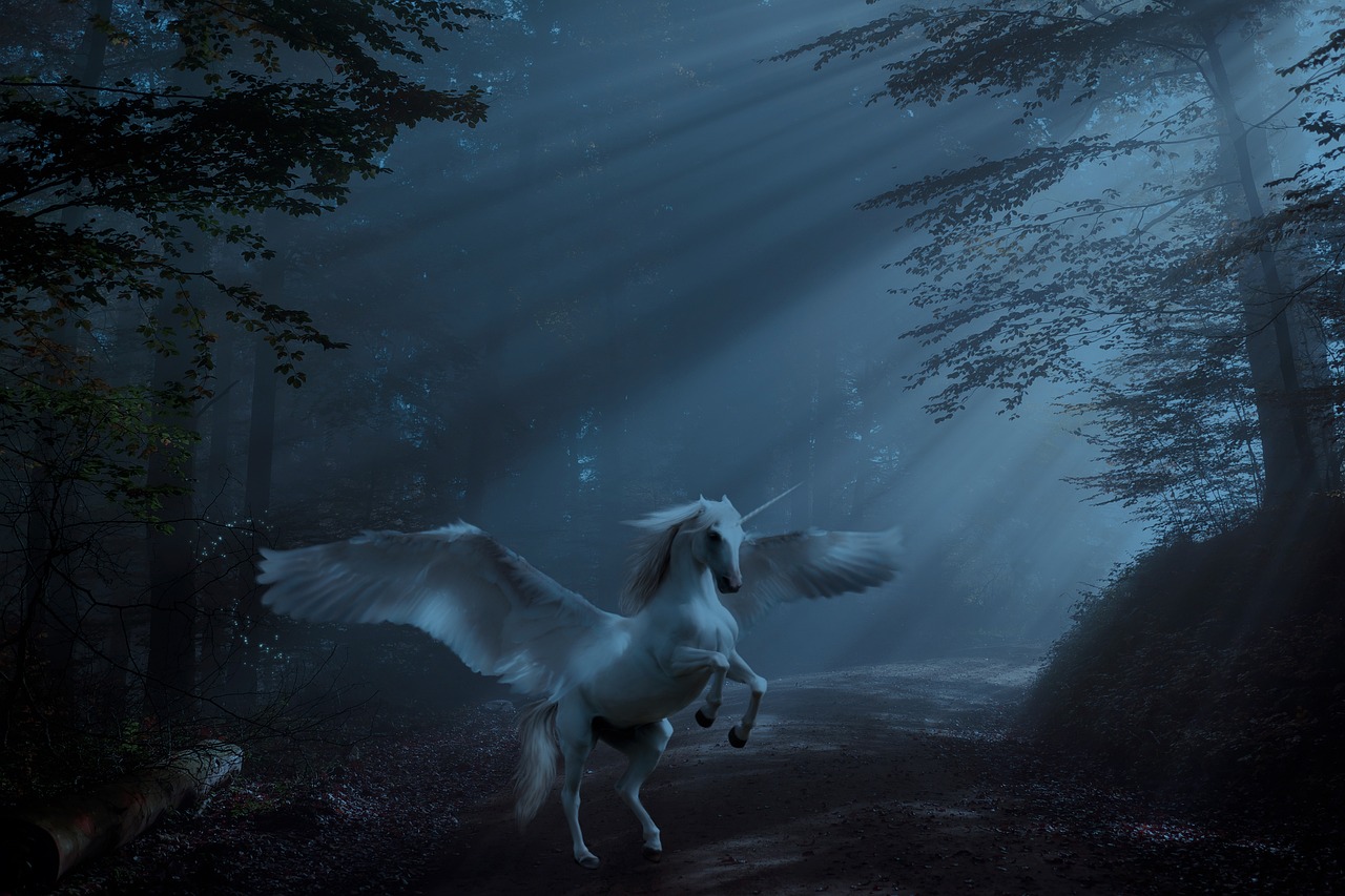 A autora J.K.Roling se refere a eles como criaturas mágicas que habitam a Floresta Proibida, um local misterioso e perigoso em Hogwarts. Os unicórnios são descritos como belos e majestosos, simbolizando pureza e inocência. 