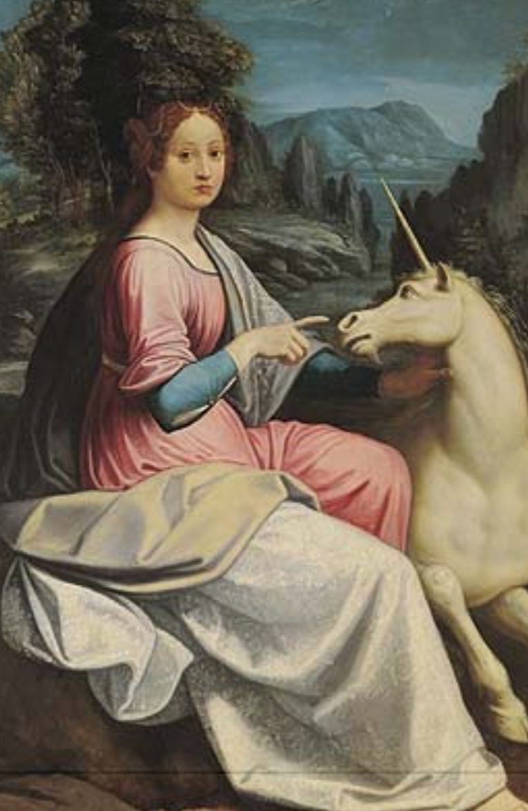 O unicórnio é frequentemente visto como um símbolo de pureza, virtude, magia e a busca do ideal. Em muitas tradições, acredita-se que ele possa curar doenças e purificar água.