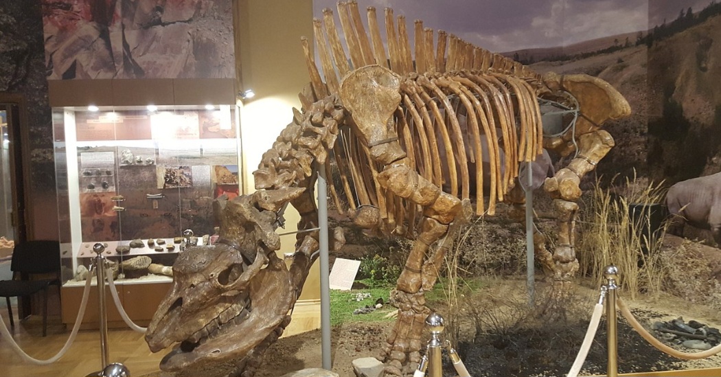 Pesquisadores acharam um fóssil de unicórnio siberiano, datado de 29 mil anos, no Cazaquistão. Para quem estranha a informação porque sabe que unicórnios são seres míticos da ficção, os especialistas explicam: trata-se de um Elasmotherium sibiricum, nome dado à espécie, que, na verdade, era um enorme rinoceronte.