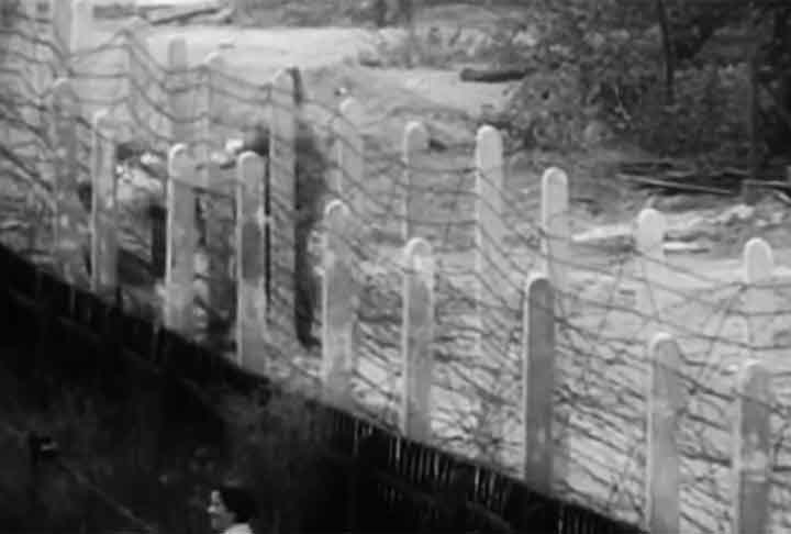 O fechamento da fronteira, que se estendia por 164 quilômetros, foi uma reação do governo socialista da Alemanha Oriental à fuga em larga escala de seus habitantes para o lado ocidental. 
