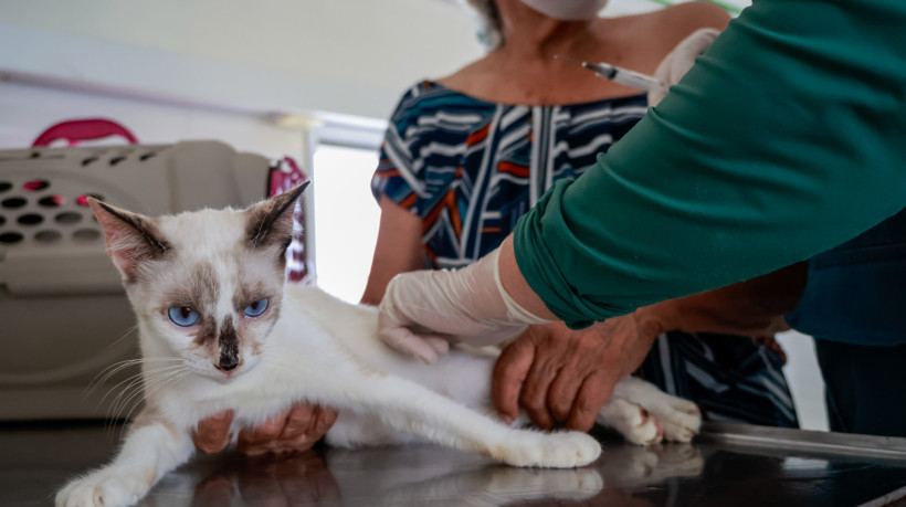 FORTALEZA, CEARÁ,  BRASIL- 14.03.2025: Clínica Veterinária Jacó em Fortaleza. (Foto: Aurélio Alves/Jornal O POVO)