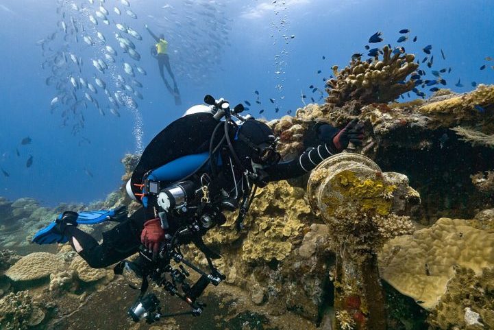 Imagina poder explorar corredores fantasma dentro de um navio afundado, com corais coloridos crescendo nas paredes e vários peixes nadando ao seu redor.  Cada naufrágio é um mistério a ser desvendado.
